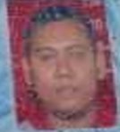 BAHRUL ULUM, S.PD